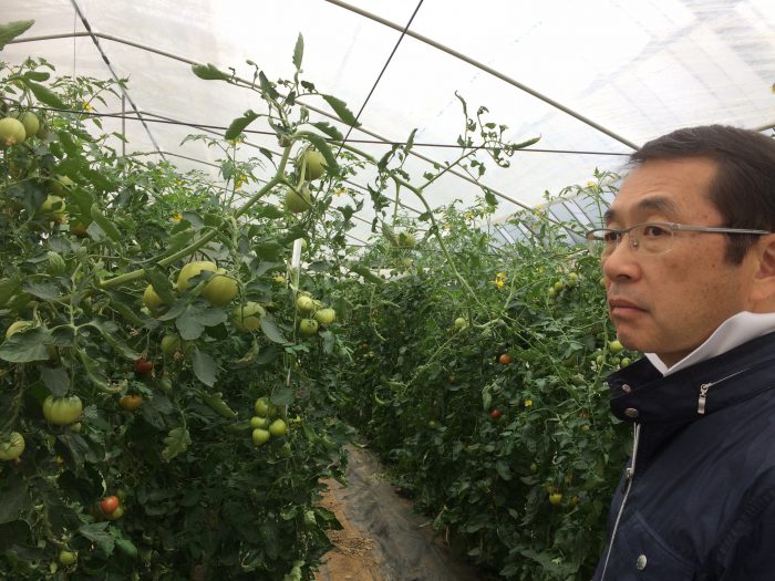 QuickQ官网 稳定 网络 节点