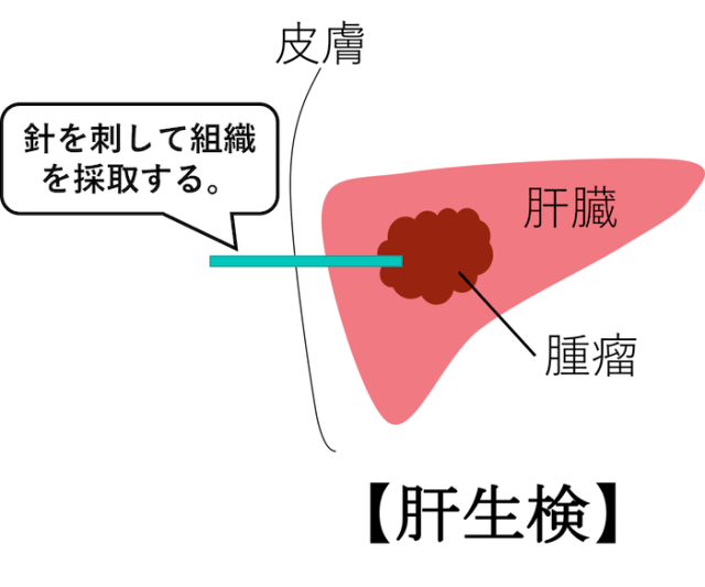 QuickQ官网 极速 网络 体验